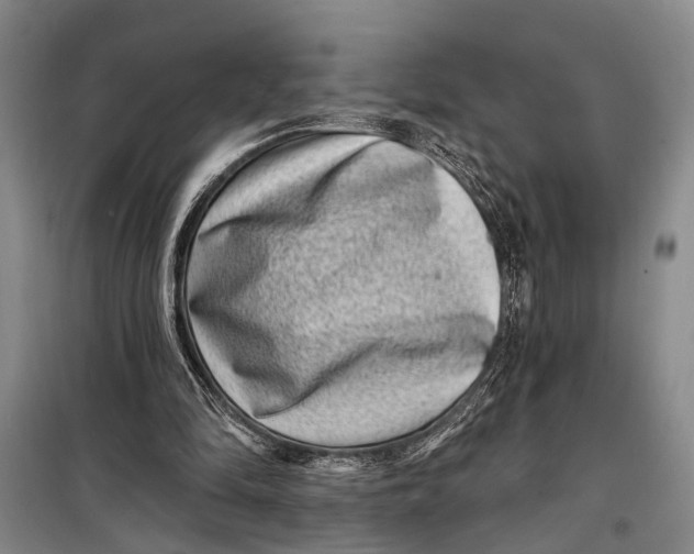 X0000098200294200805151235