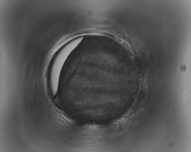 X0000098200295200805151235