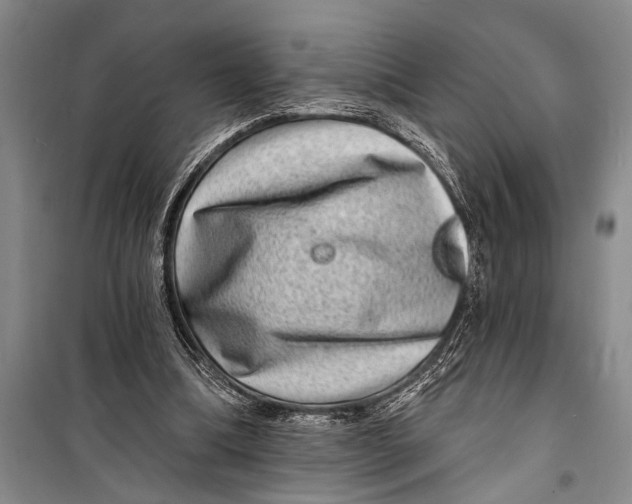 X0000098200298200805151235