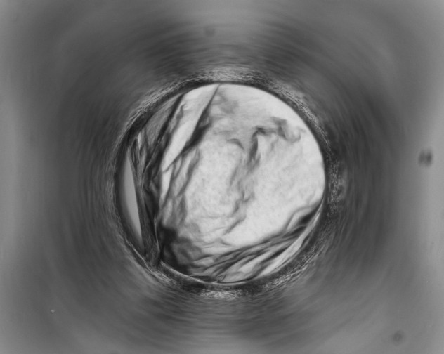 X0000098200299200805151235