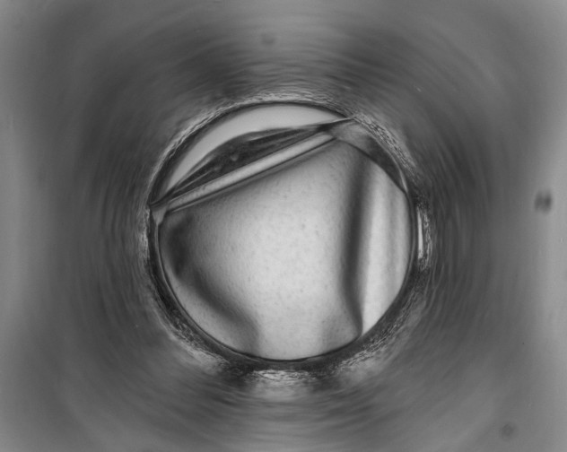X0000098200300200805151235