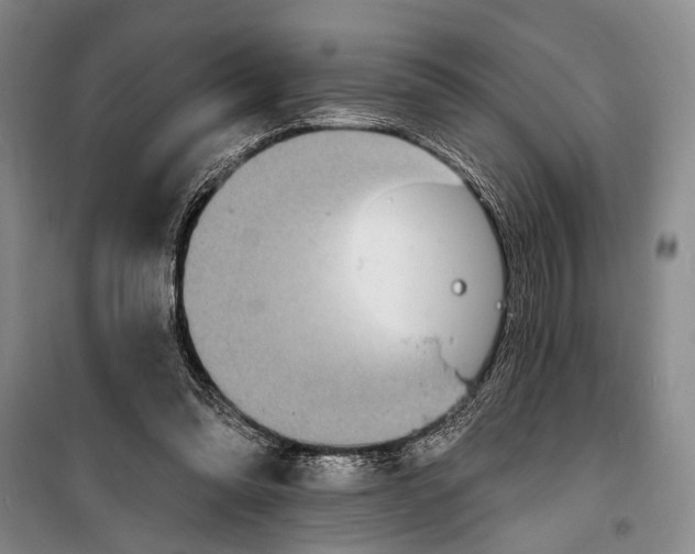 X0000098200302200805151235
