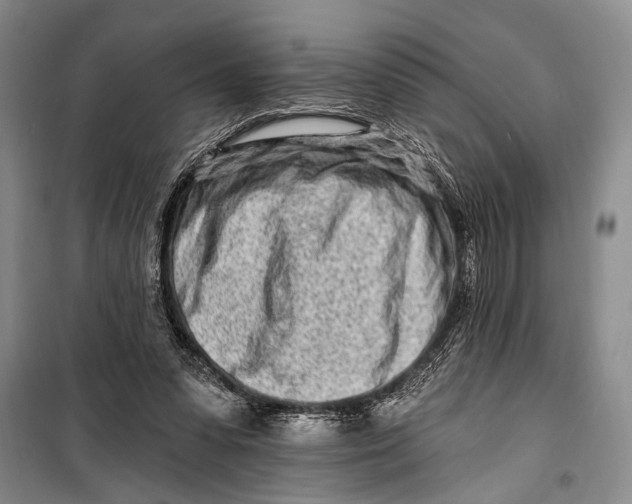 X0000098200303200805151235