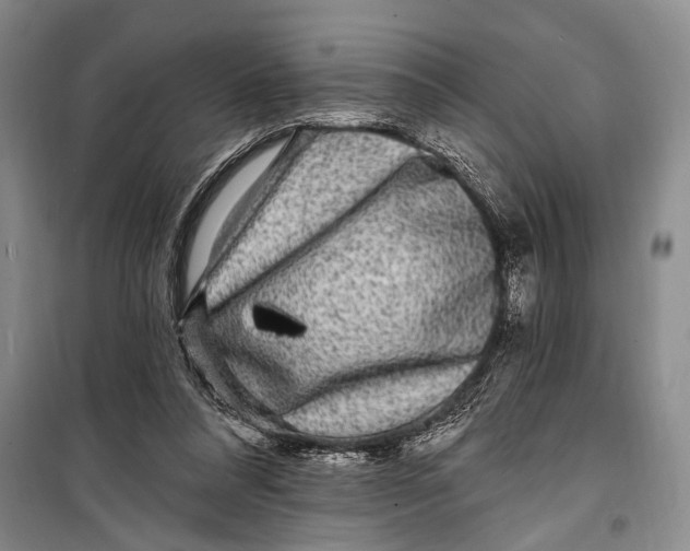 X0000098200304200805151235