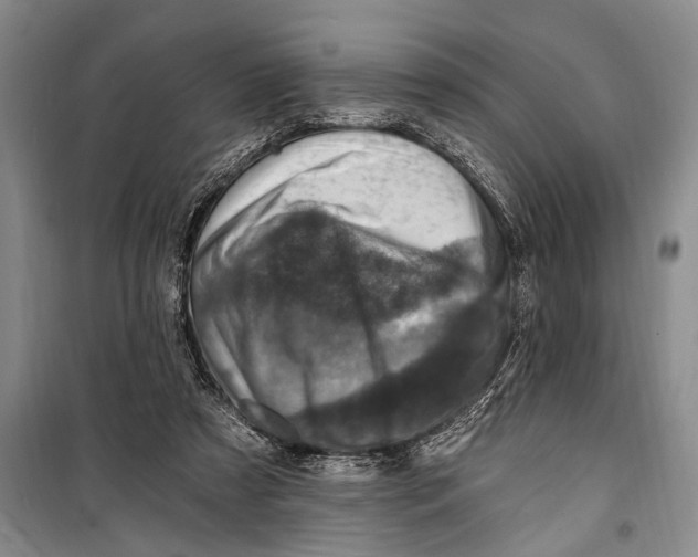 X0000098200305200805151235
