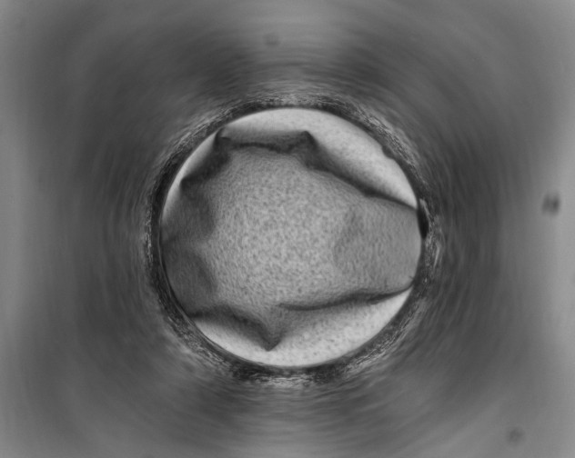 X0000098200306200805151235