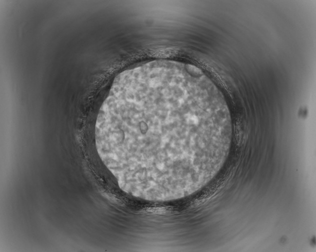 X0000098200307200805151235