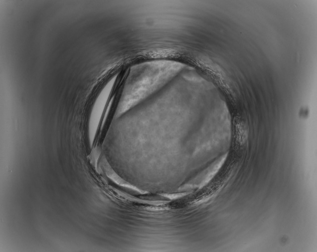 X0000098200308200805151235