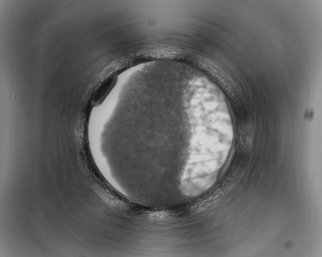 X0000098200309200805151235