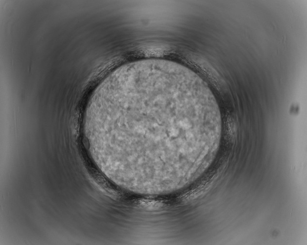 X0000098200311200805151235