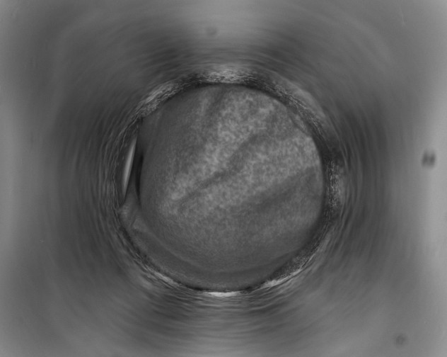 X0000098200312200805151235