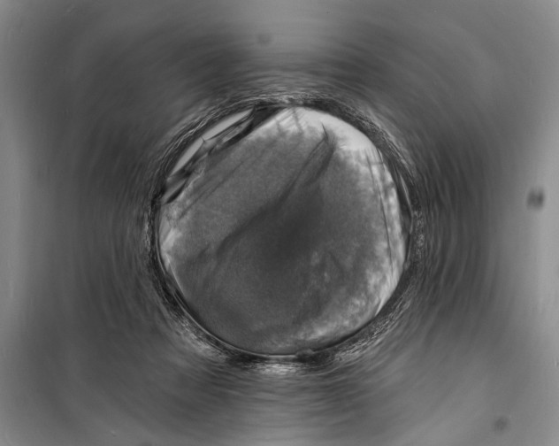 X0000098200313200805151235