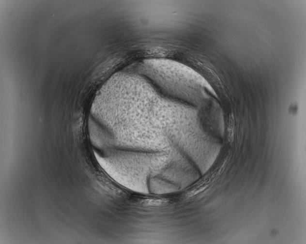 X0000098200314200805151235