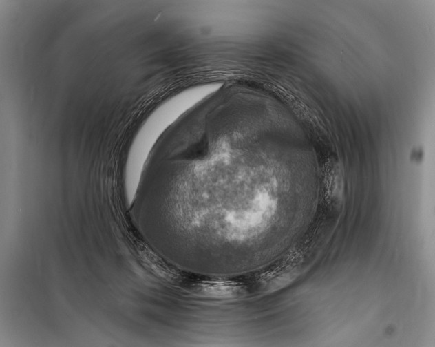 X0000098200316200805151235