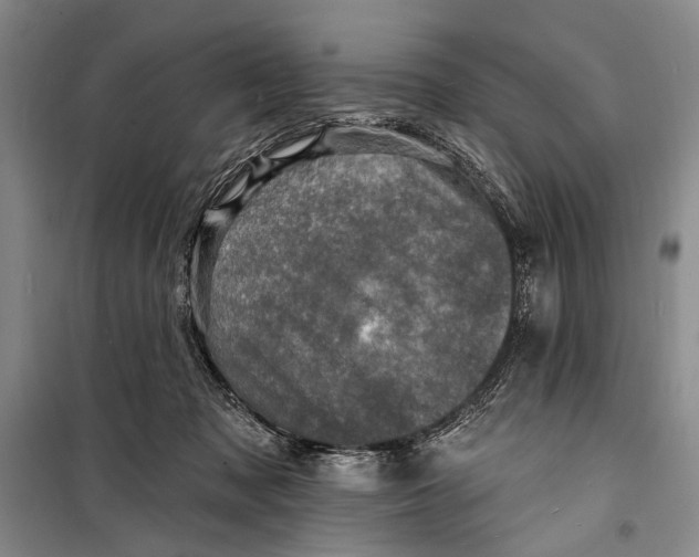 X0000098200317200805151235