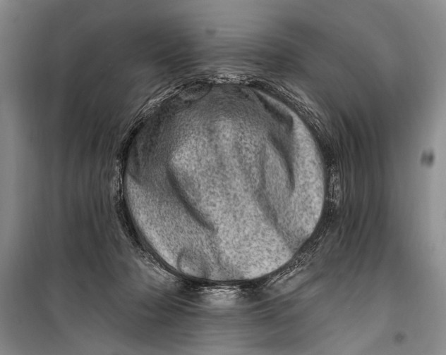 X0000098200318200805151235