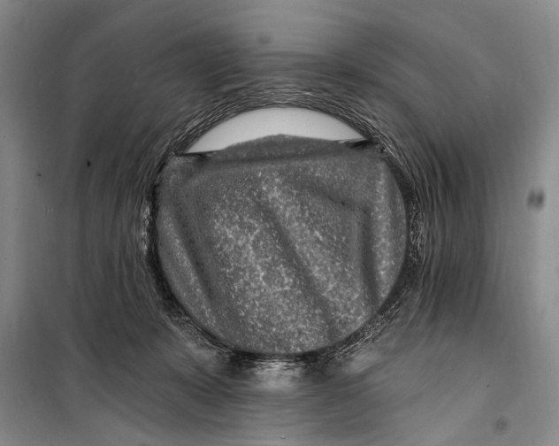 X0000098200319200805151235