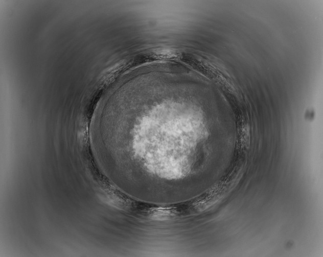 X0000098200320200805151235