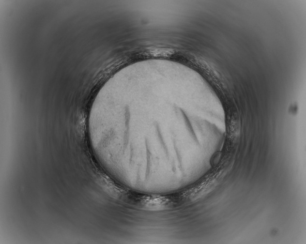 X0000098200321200805151235