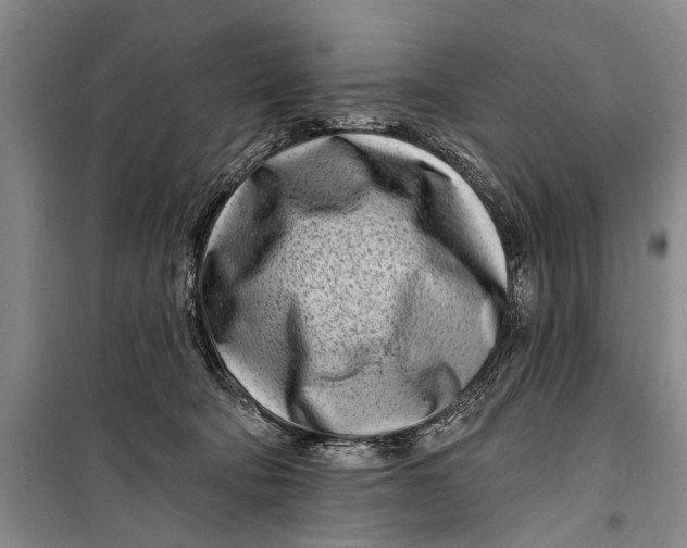 X0000098200322200805151235