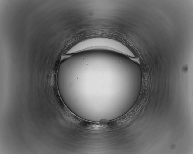X0000098200323200805151234
