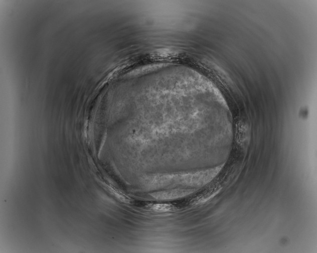 X0000098200324200805151234