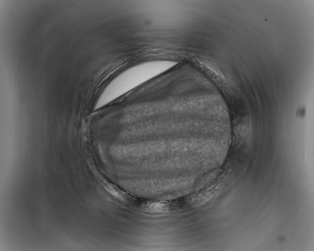 X0000098200325200805151234