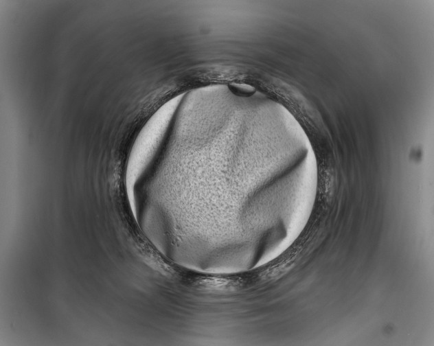 X0000098200326200805151234