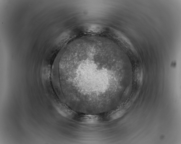 X0000098200328200805151234