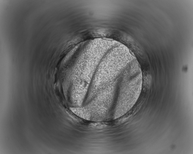 X0000098200331200805151234
