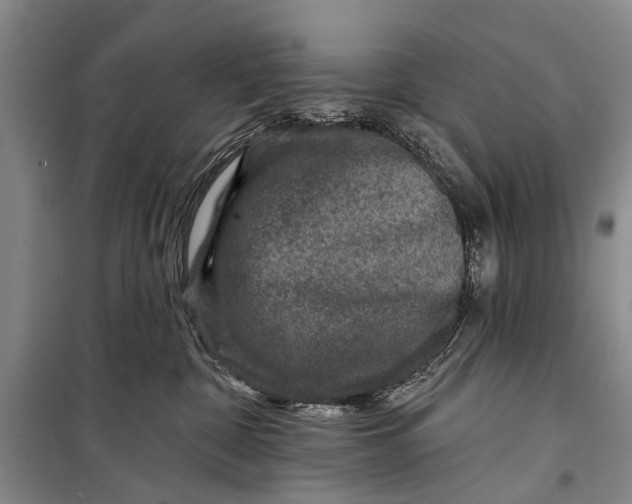 X0000098200332200805151234