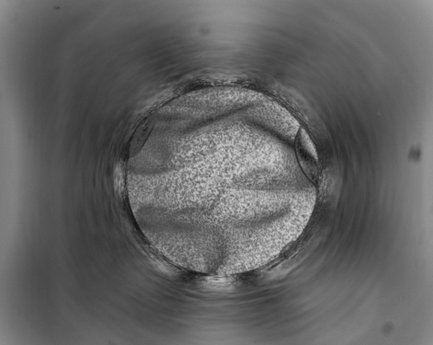 X0000098200335200805151234