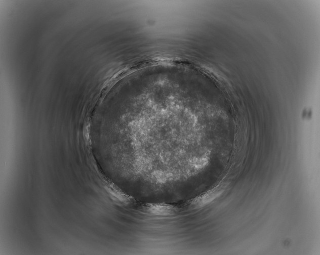 X0000098200336200805151234
