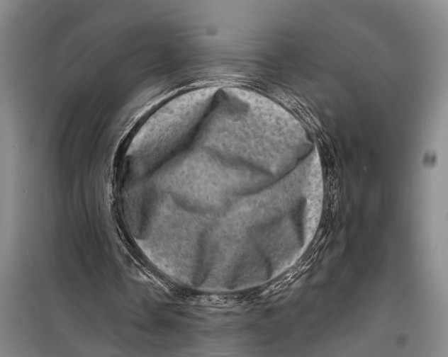 X0000098200338200805151234