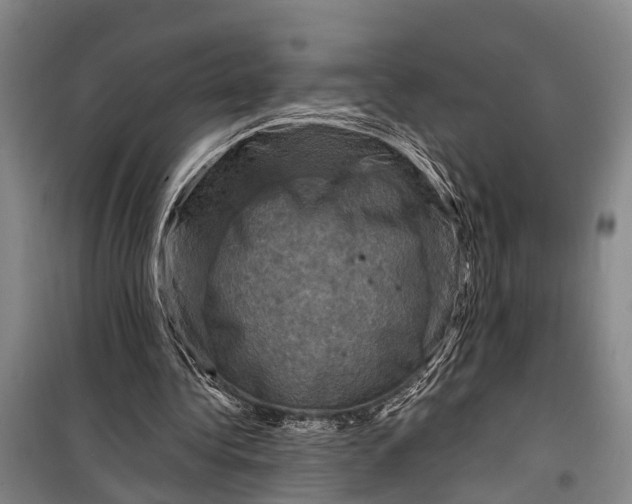 X0000098200340200805151234