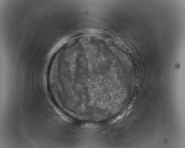X0000098200341200805151234