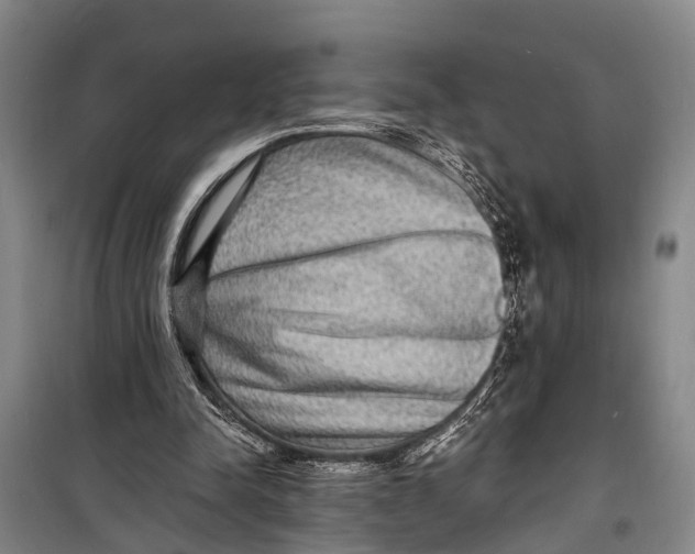 X0000098200342200805151234