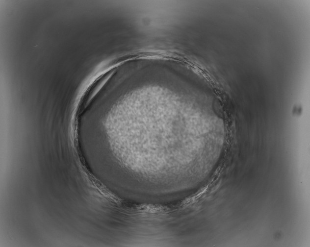 X0000098200343200805151234