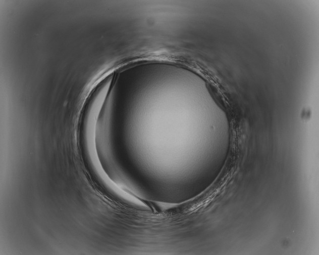 X0000098200344200805151234