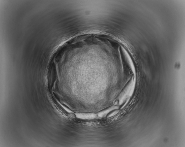 X0000098200345200805151234