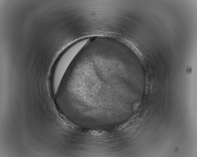 X0000098200346200805151234