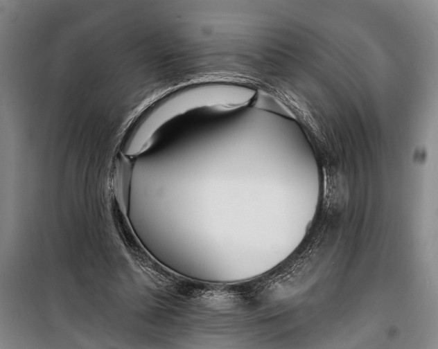 X0000098200348200805151234