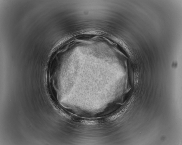 X0000098200349200805151234