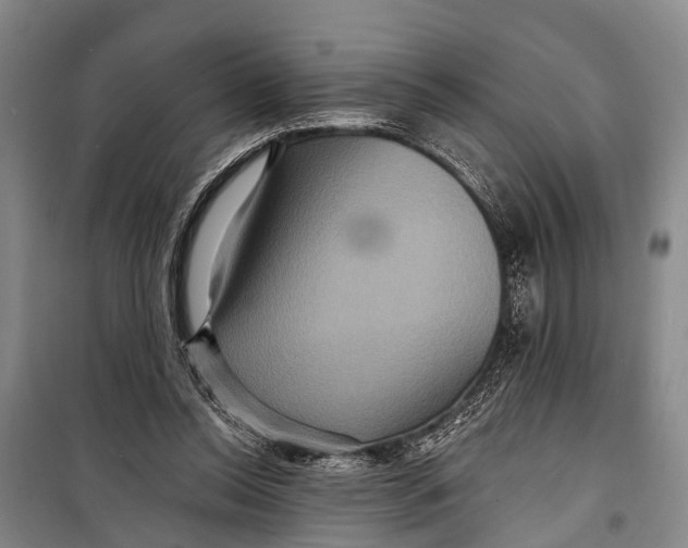 X0000098200350200805151234