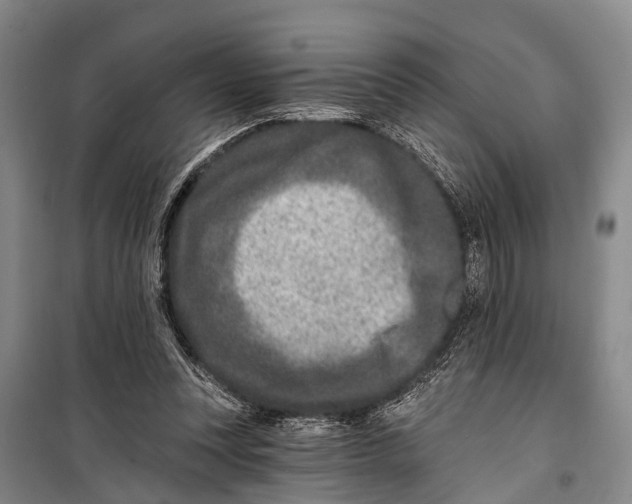 X0000098200351200805151234