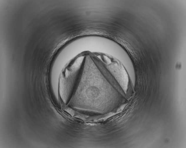X0000098200352200805151234