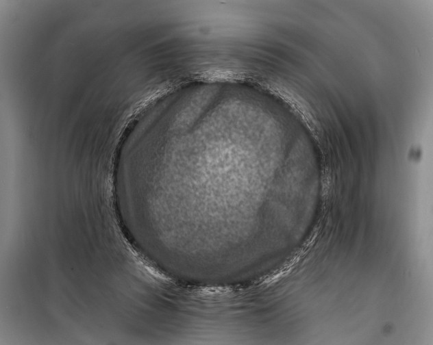X0000098200353200805151234