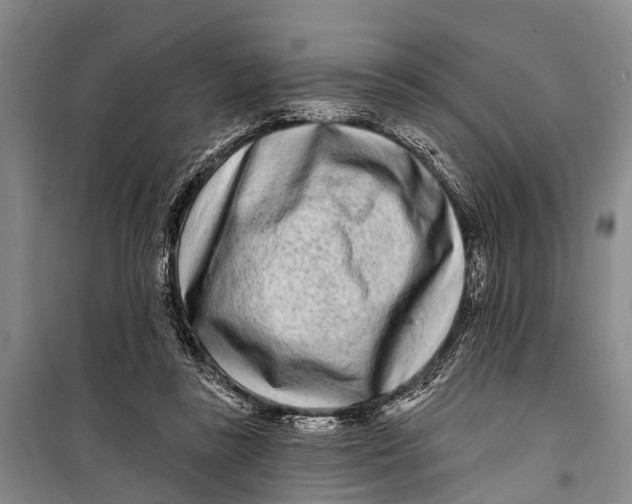 X0000098200355200805151234