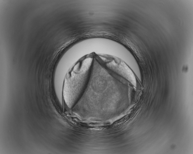 X0000098200356200805151234