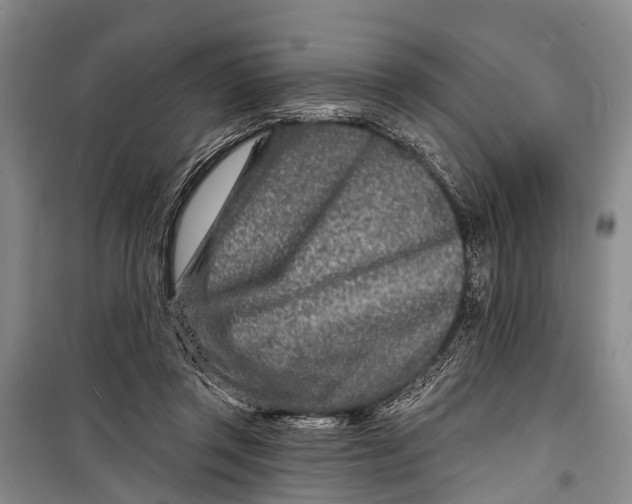 X0000098200357200805151234
